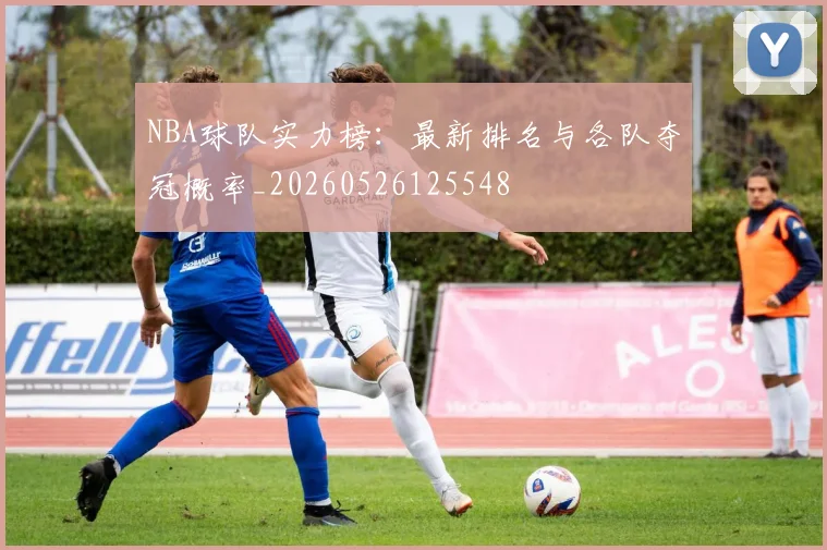NBA球队实力榜：最新排名与各队夺冠概率_20260526125548