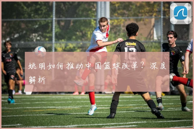 姚明如何推动中国篮球改革？深度解析