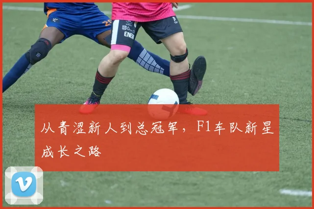 从青涩新人到总冠军,F1车队新星成长之路
